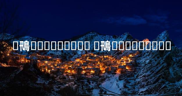 �鳵�����շѱ�׼ �鳵�����շѱ�׼